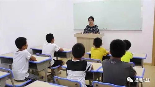 定律教育新學期招生 精品晚班與周末興趣班火熱報名中